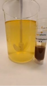 Ferticell Nzn Endoplasma Ice Liquid
